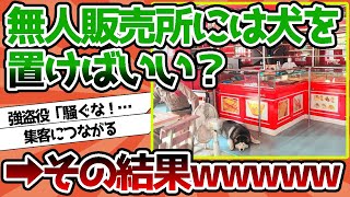 【2ch動物スレ】無人販売店はイッヌ置いたらいいんじゃね？ [upl. by Gagliano]