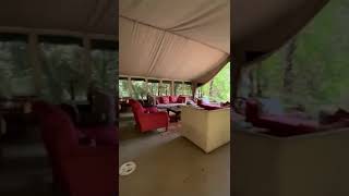 Discover the Nairobi Tented Camp [upl. by Fisoi]