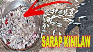 KILAWIN NA ISDA NAGKALAT SA KALSADA SA SOBRANG DAMI ALAMIN KUNG BAKIT [upl. by Loar]