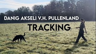 Akseli 19 months  tracking [upl. by Dlaregztif]