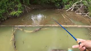 Brookville Lake Crappie Fishing [upl. by Esiralc193]