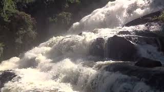 Maravilhosa Cachoeira de Ervália Minas Gerais [upl. by Eannyl]