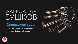 АЛЕКСАНДР БУШКОВ «СЫЩИК ИЩИ ВОРА» Аудиокнига Читает Александр Клюквин [upl. by Adierf]