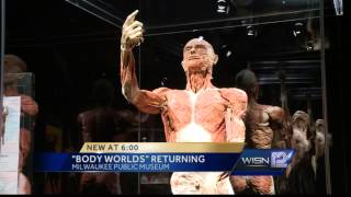 New Body Worlds exhibit opens in Milwaukee this weekend [upl. by Scheck]