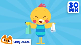 Clean Up Songs 🧹🧼  More Songs for Kids  Lingokids [upl. by Ahsiuqel]