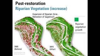 02 E Building Resilience with LowTech Restoration [upl. by Munson]