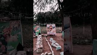 Veerappan status video veerappan Veerappan WhatsApp videos shortsviral [upl. by Ailaro]