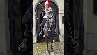 Onlookers Amused as Horses Turn Horse Guard Parade into a PEEformance [upl. by Treiber]