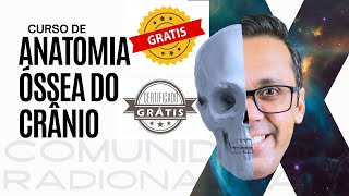 Curso grátis de Anatomia Óssea do Crânio [upl. by Pavyer]