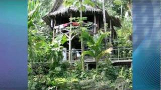 Micronesia Island Life [upl. by Lorene393]