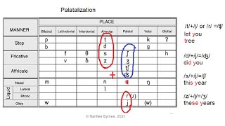 Palatalization in English [upl. by Montagu205]