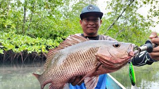 Mentawai Vlog Fishing Casting mangrove Jack ‼️ [upl. by Falk]