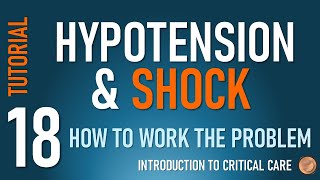 Hypotension and Shock and Working the Problem [upl. by Milore19]