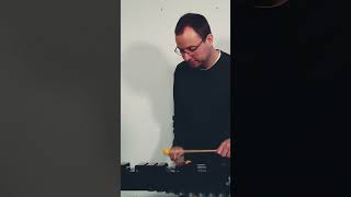 Schnelles Xylophon Solo shorts xylophone musician [upl. by James]