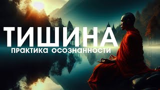 ТИШИНА  ПРАКТИКА ОСОЗНАННОСТИ NikОsho [upl. by Boyse13]