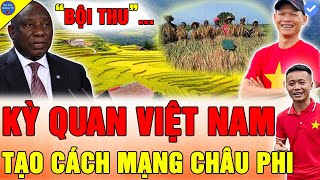 🔴THẾ GIỚI KINH NGẠC Linh Philip Team Quang Linh RUỘNG BẬC THANG LÚA VIỆT NAM PHÁT TRIỂN MẠNH TẠI CP [upl. by Meehahs]