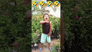 result Ave Matak Matak papa Mare Patak Patak comedy funny 🤣🤣🤣🤣 [upl. by Aisauqal]