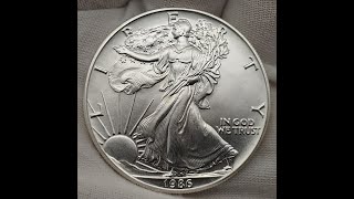 1986 American Silver Eagle how to guide buying reselling toning grading orange tube [upl. by Marlea414]