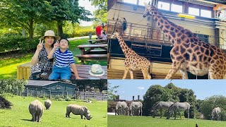 Exploring Marwell Zoo Winchester 🇬🇧 [upl. by Lonnie]