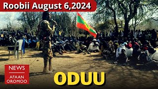 BBC ODUU AFAAN OROMOO  Roobii August 62024  Oromo News  Daily Ethiopia news today OLA WBO [upl. by Annodas600]