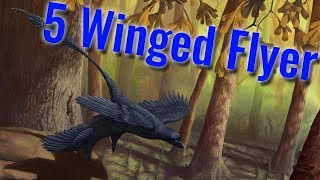 The FiveWinged Dinosaur [upl. by Zerdna]