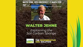 Walter Jehne PART 2  Explaining the Soil Carbon Sponge [upl. by Aniretac]