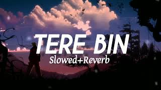 Tere Bin Sanu Soniya  Rabbi Sheregill Slowed Reverb [upl. by Panter799]