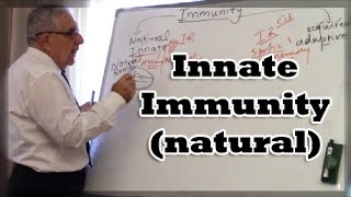 Innate Immunity natural [upl. by Notlek]