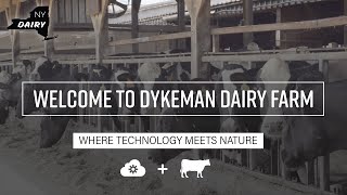 New York Dairy Welcome to Dykeman Dairy Farm [upl. by Magda]