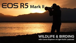 Wildlife photographer Keith Ladzinski tests the new Canon EOS R5 Mark II [upl. by Chapa801]