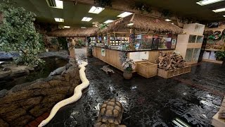 The Reptile Zoo 360° Tour [upl. by Trev]