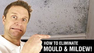 How to Paint over Mould amp Mildew [upl. by Lacim]