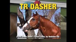 TR Dasher 2013 [upl. by Mairim]