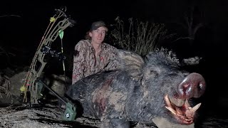 Bowhunting pigs nsw Australia [upl. by Ecnatsnoc]