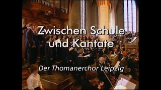 Thomanerchor Leipzig  quotZwischen Schule und Kantate  Der Thomanerchorquot Dokumentation 1995 [upl. by Izzy32]