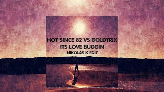 Hot Since 82 vs Goldtrix  Its love bugginNikolas K edit [upl. by Oirram]