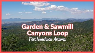 Garden CanyonSawmill Canyon Loop Hike  Ft Huachuca  Sierra Vista Arizona  Monsoon Flowers [upl. by Dunlavy]