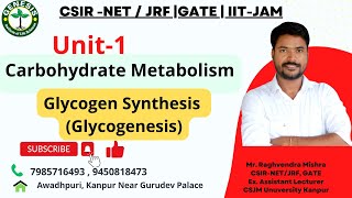 Metabolism of carbohydrates  Glycogen Synthesis  Glycogenesis  L13 [upl. by Losse21]