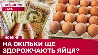 Яйця по 80 грн Нові ціни ШОКУЮТЬ Чи очікувати здорожчання і на скільки [upl. by Senecal635]