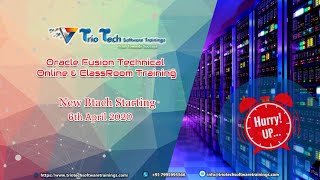 Oracle Fusion Technical Online Training  Day 1 TrioTech [upl. by Shaylah]