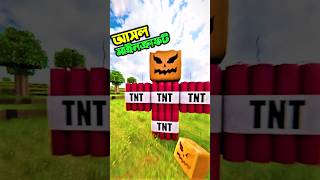 Realistic Minecraft shorts risgaming risplays minecraft [upl. by Dielle358]