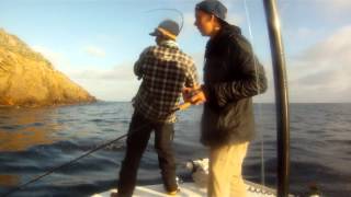 KRD Clip V  SCI Calico Bass  Hammer Down [upl. by Peugia]