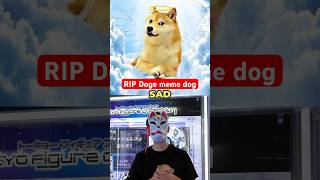 RIP Doge meme dog [upl. by Enahc]