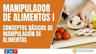 Curso de Manipulador de Alimentos I  Conceptos básicos de manipulación de alimentos [upl. by Adiana949]