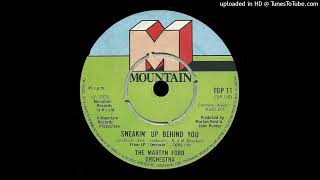 MARTYN FORD ORCHESTRA  SNEAKINUP BEHIND YOU  1976  PEKO SOUND RECORDS [upl. by Sadonia]