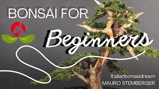 Bonsai for Beginners [upl. by Arretak]