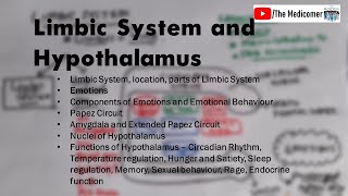 Limbic System and Hypothalamus Physiology [upl. by Nyrrad]