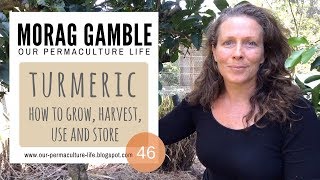 How to Prepare Fresh Ginger and Turmeric [upl. by Lemrahc]