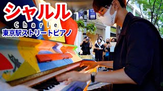 【ストリートピアノ】「シャルル」を弾いてみた byよみぃ Japanese Street Piano PerformancequotCharlesquot [upl. by Adal]