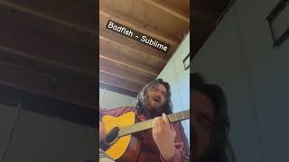 Badfish acoustic cover singer acousticcover music sublime rock [upl. by Ragde]